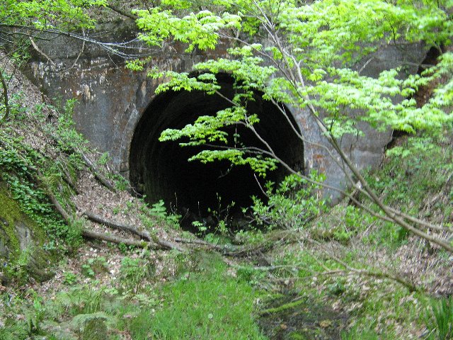 トンネル東2.JPG